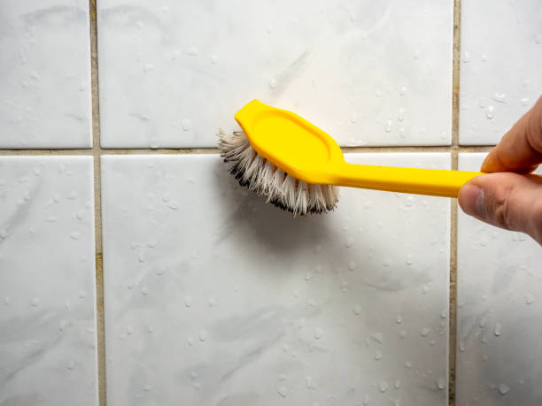 Best Mold Removal Company Near Me  in Encinitas, CA