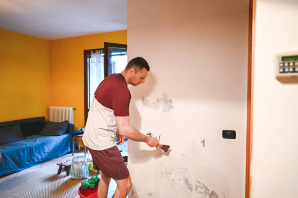 Best Home Mold Removal  in Encinitas, CA